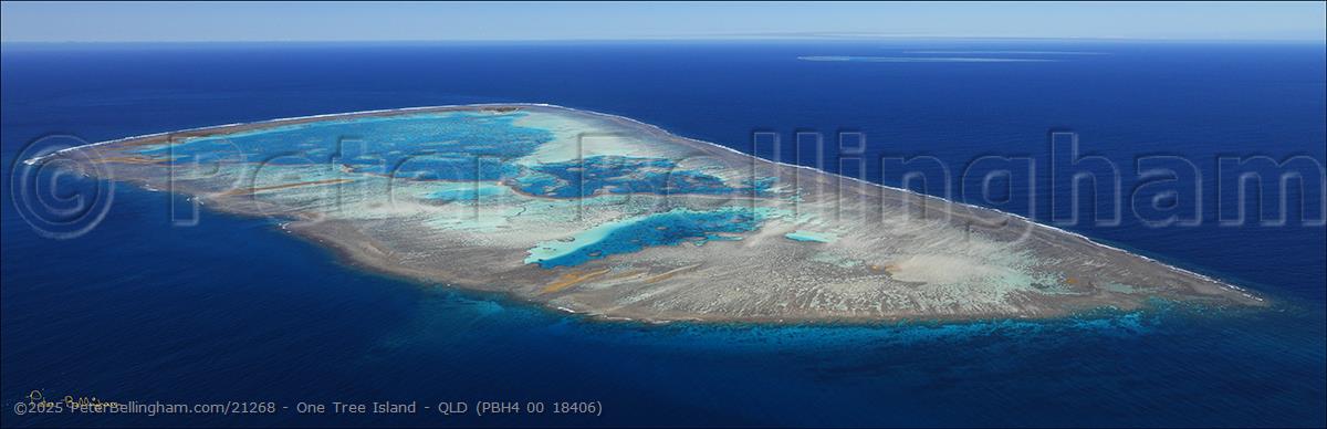 Peter Bellingham Photography One Tree Island - QLD (PBH4 00 18406)